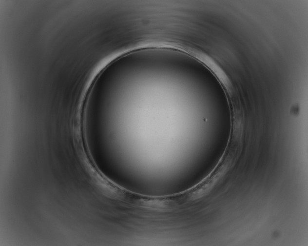 X0000102481004200808081300