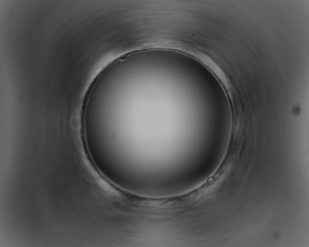 X0000102481005200808081300