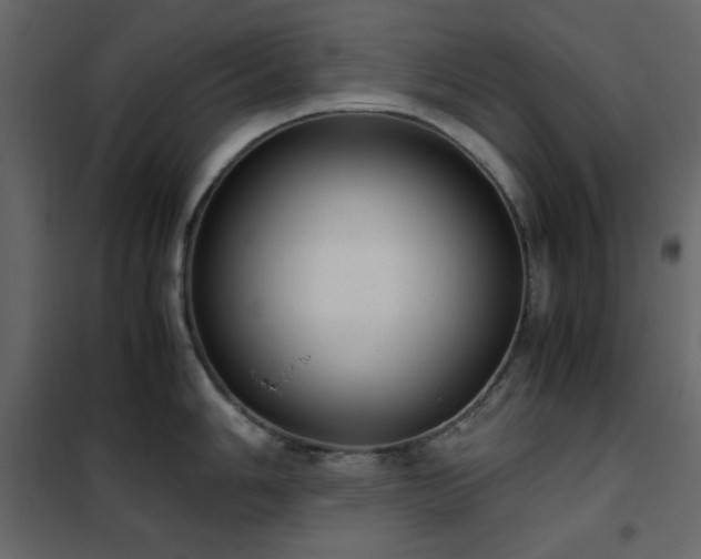 X0000102481006200808081300