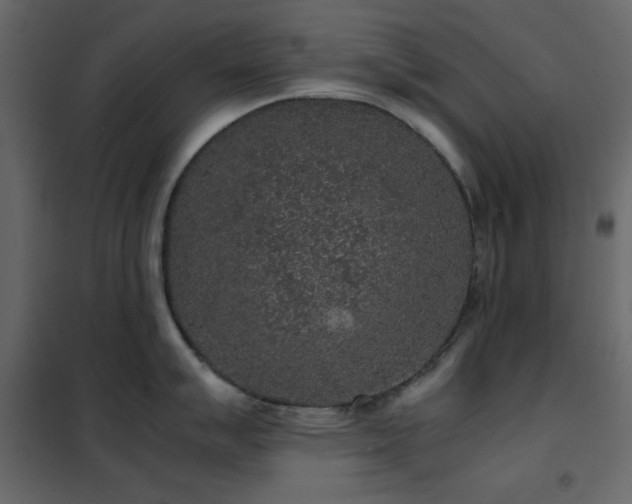 X0000102481007200808081300