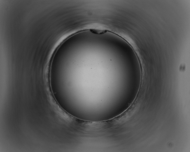 X0000102481008200808081300