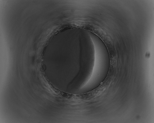 X0000102481009200808081300