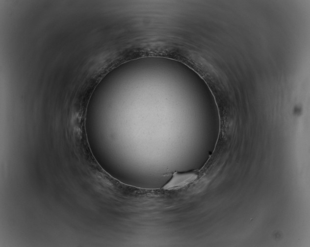 X0000102481010200808081300