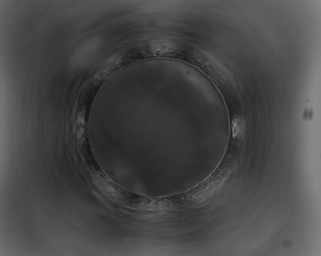 X0000102481011200808081300