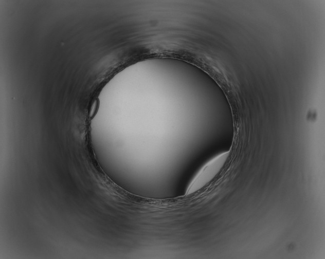 X0000102481012200808081300