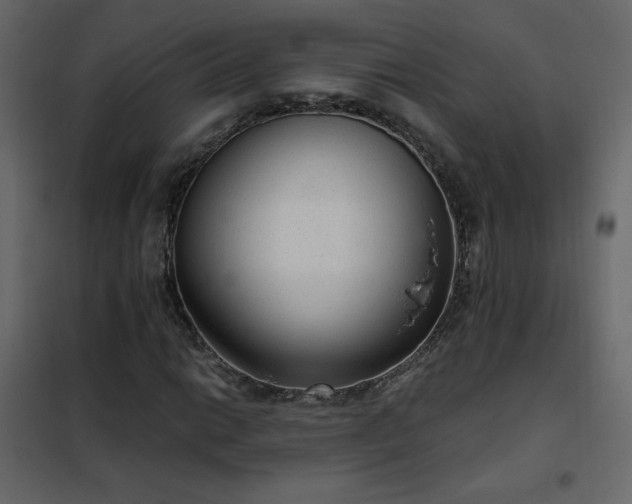 X0000102481014200808081300