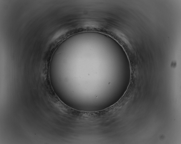 X0000102481015200808081300