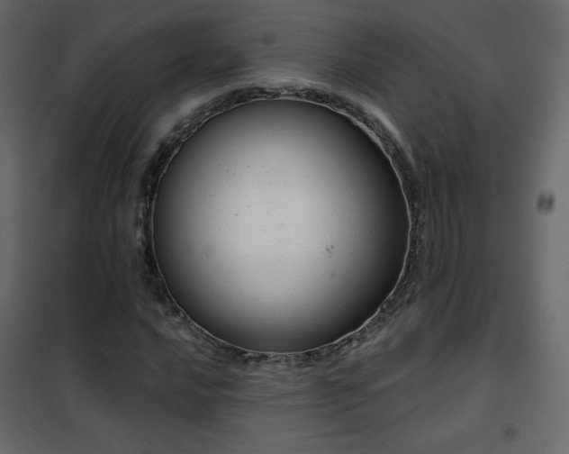 X0000102481016200808081300