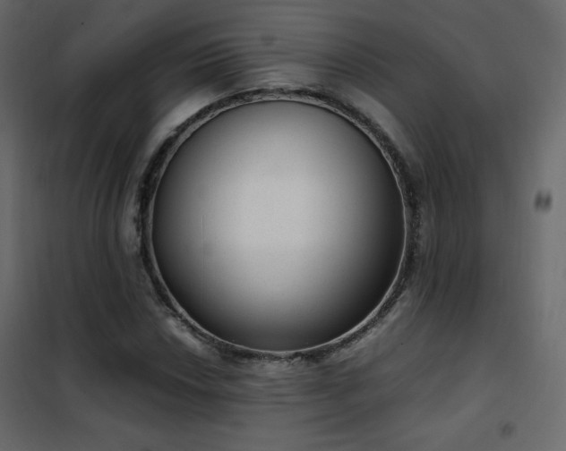 X0000102481018200808081300