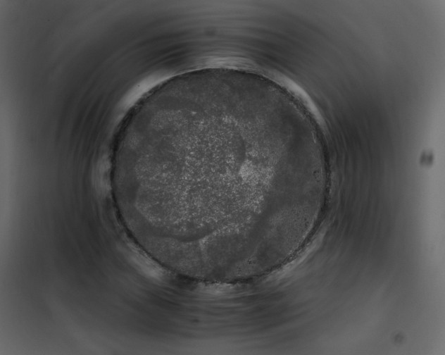 X0000102481019200808081300