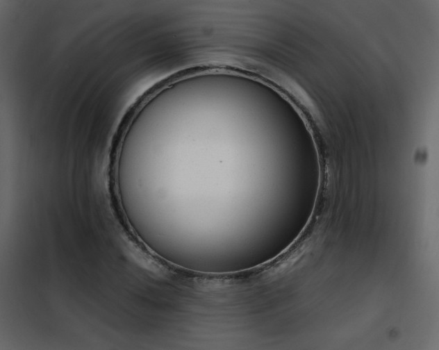 X0000102481020200808081300