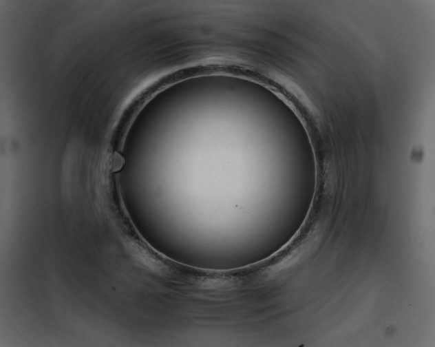 X0000102481021200808081300