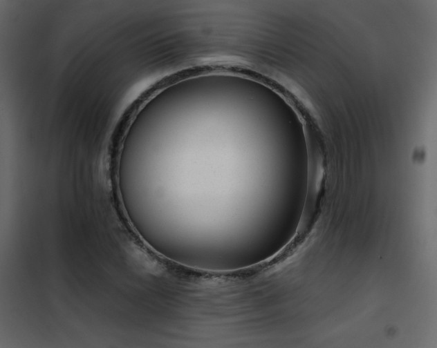 X0000102481022200808081300