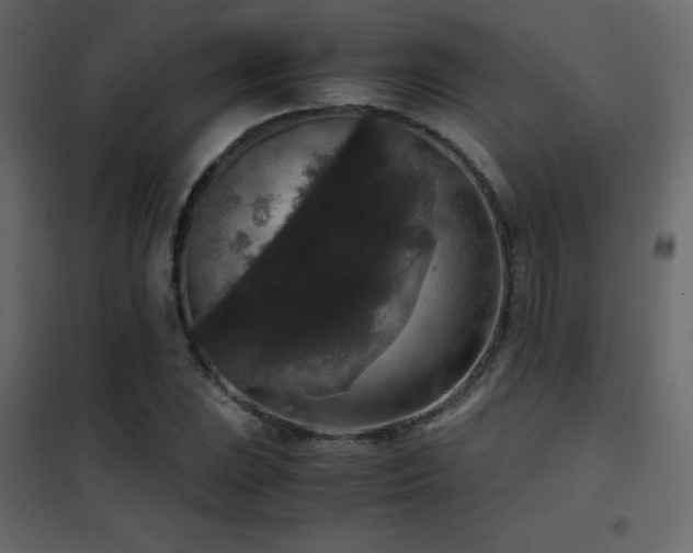 X0000102481023200808081300