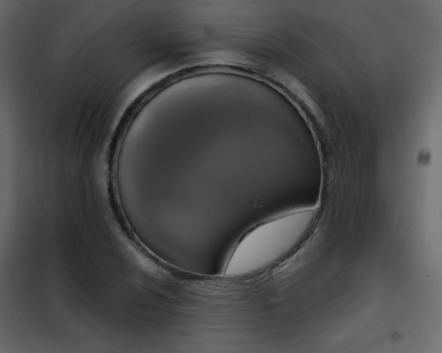 X0000102481024200808081300