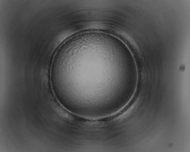X0000102481025200808081300