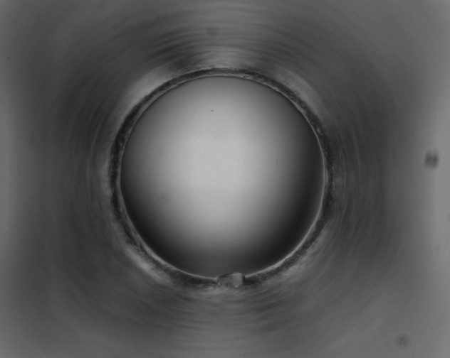 X0000102481026200808081300