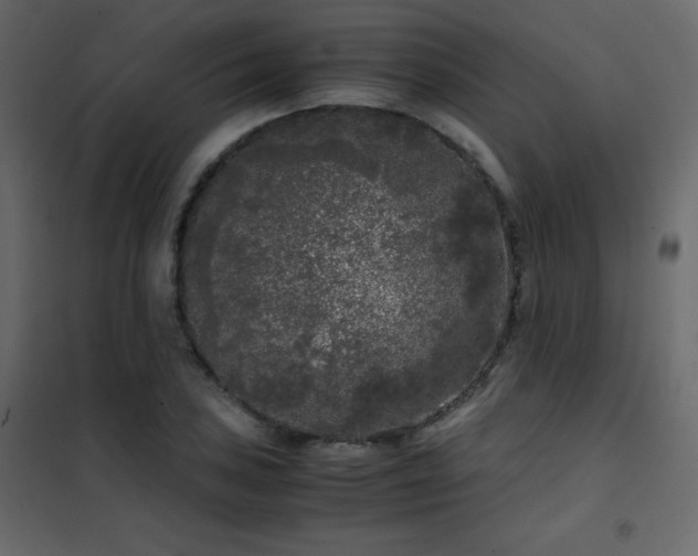 X0000102481027200808081300