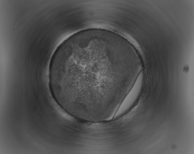 X0000102481028200808081300