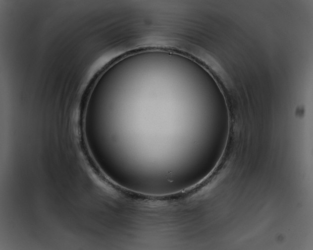 X0000102481030200808081300