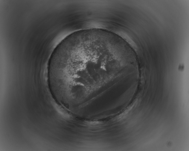 X0000102481031200808081300