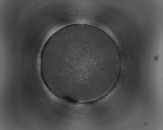 X0000102481032200808081300