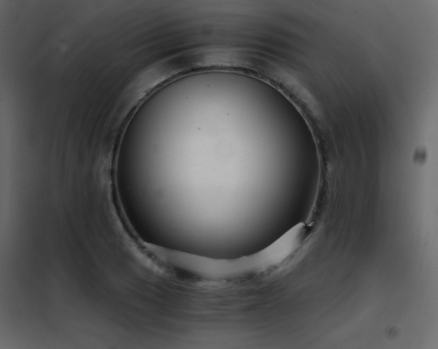 X0000102481033200808081300