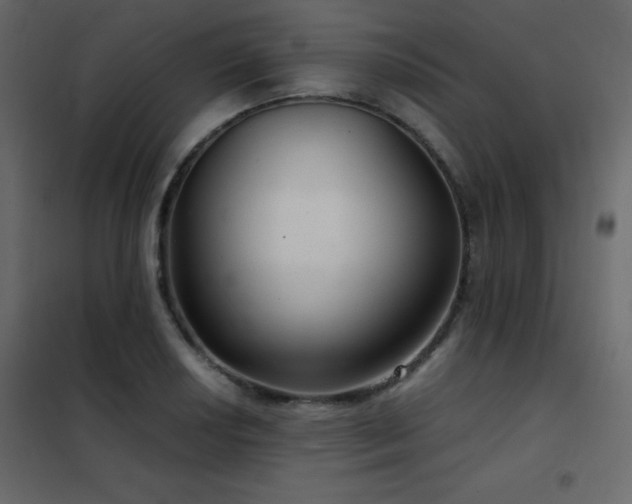 X0000102481034200808081300
