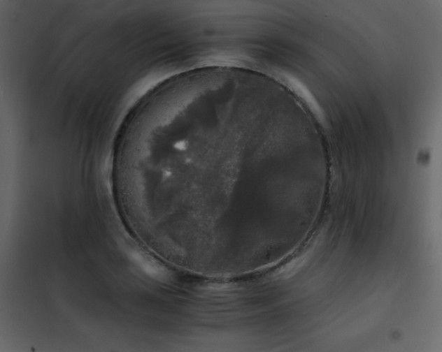X0000102481035200808081300