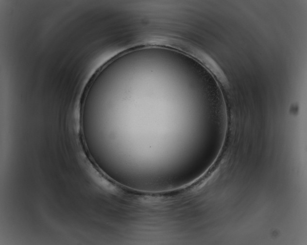 X0000102481036200808081300