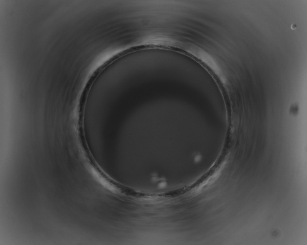 X0000102481037200808081300