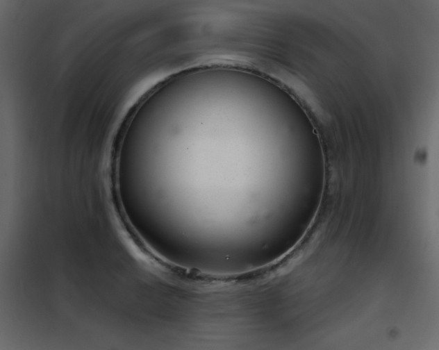 X0000102481038200808081300