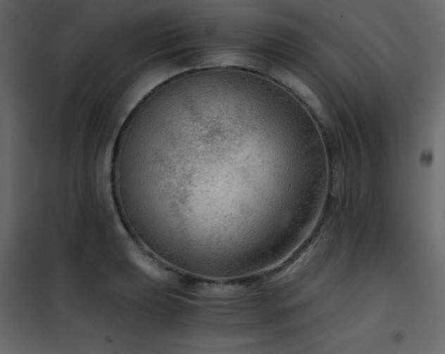 X0000102481039200808081300