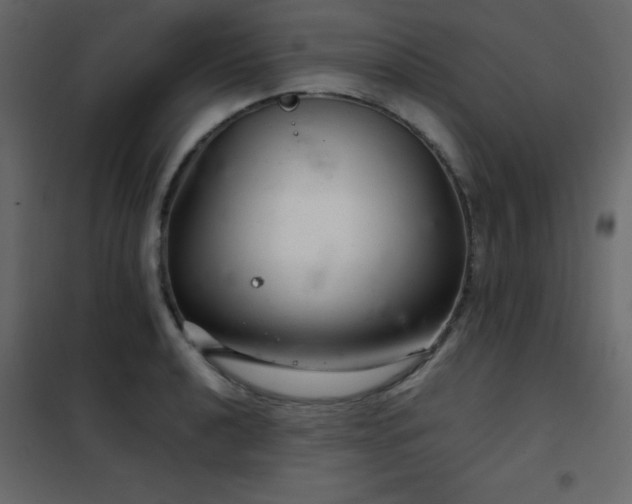 X0000102481040200808081300