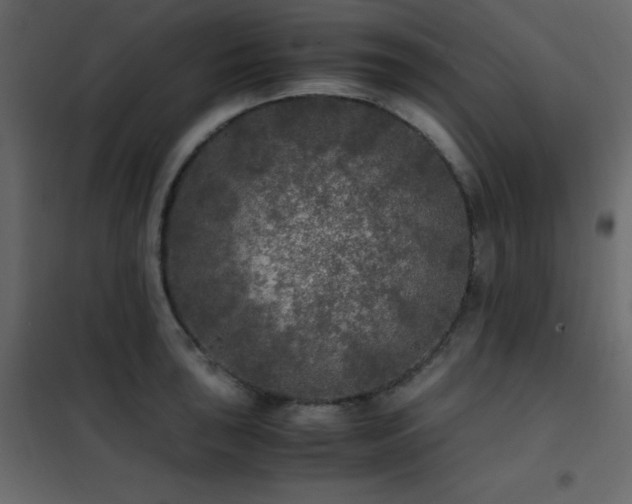 X0000102481043200808081300