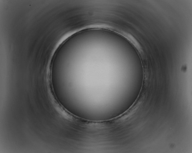 X0000102481044200808081300