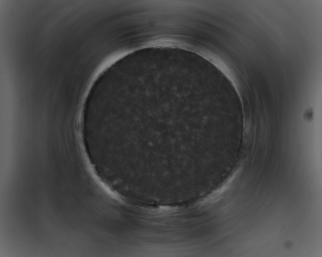 X0000102481045200808081300