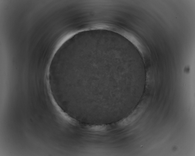 X0000102481047200808081300