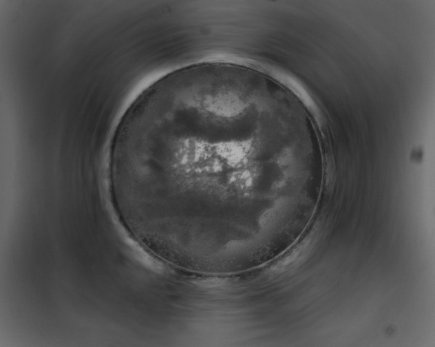 X0000102481048200808081300