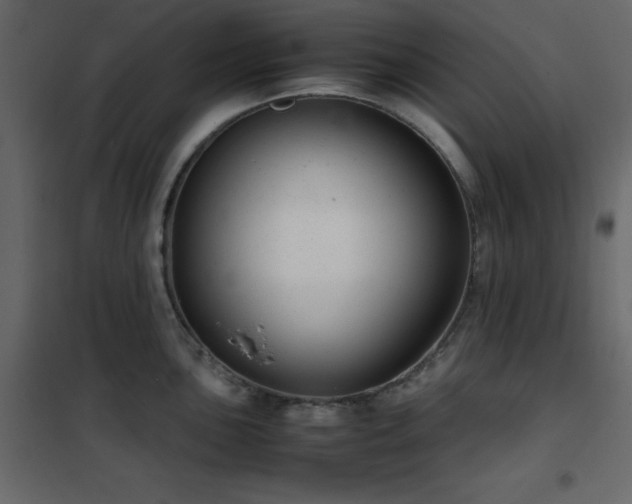X0000102481051200808081300