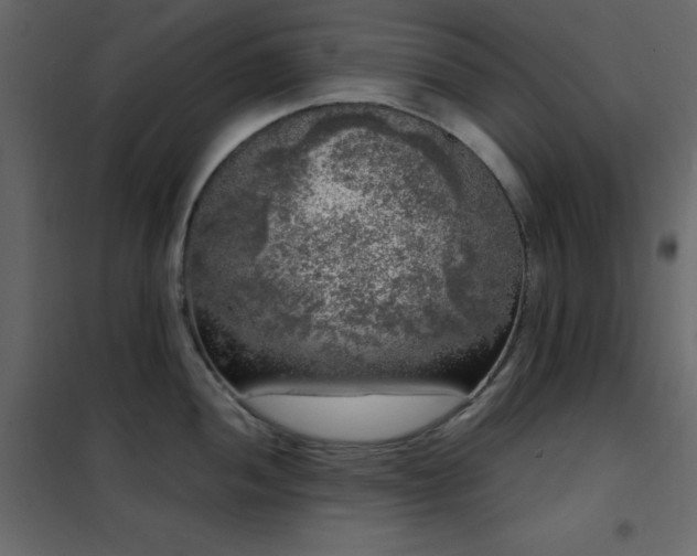 X0000102481052200808081300