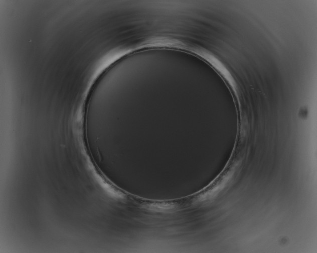 X0000102481053200808081300