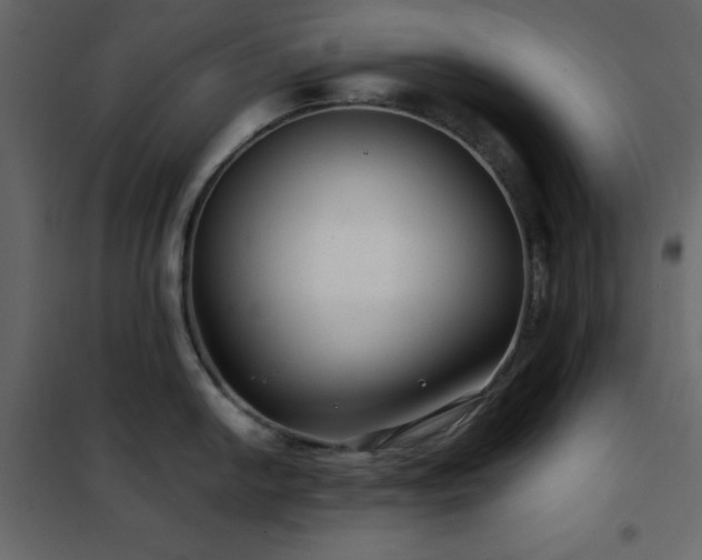 X0000102481054200808081300