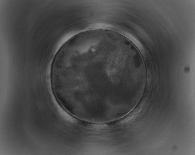 X0000102481055200808081300