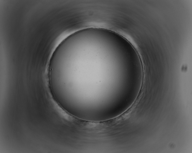 X0000102481056200808081300