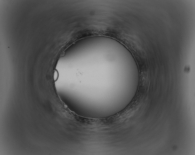 X0000102481057200808081300