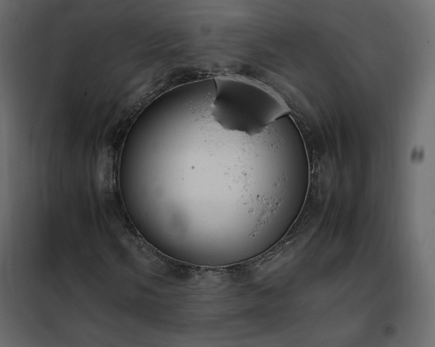 X0000102481058200808081300