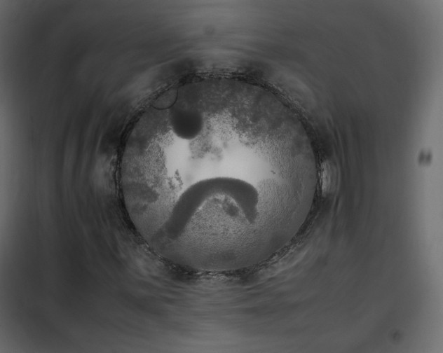 X0000102481059200808081300