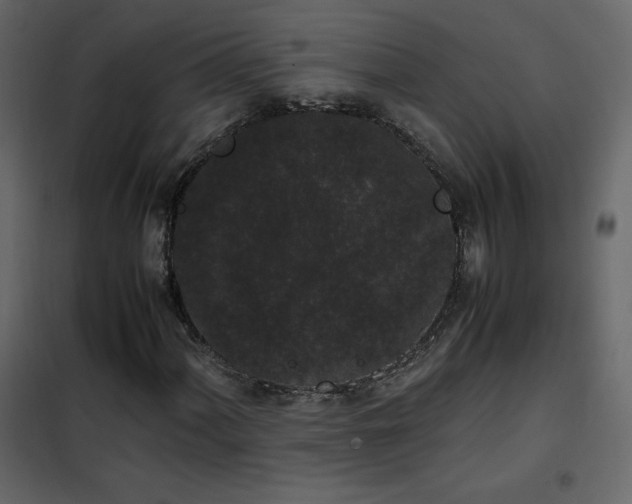X0000102481060200808081300