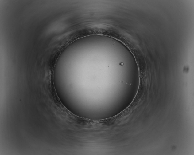 X0000102481061200808081300